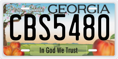 GA license plate CBS5480