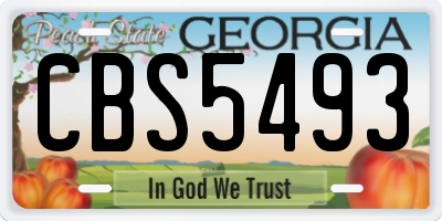 GA license plate CBS5493