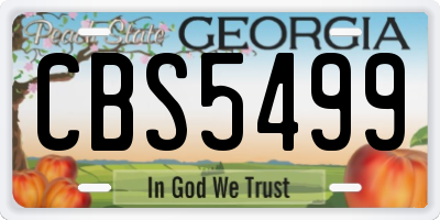 GA license plate CBS5499