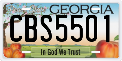 GA license plate CBS5501