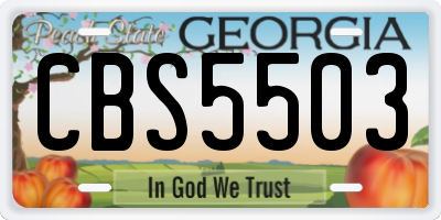 GA license plate CBS5503