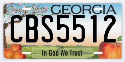 GA license plate CBS5512