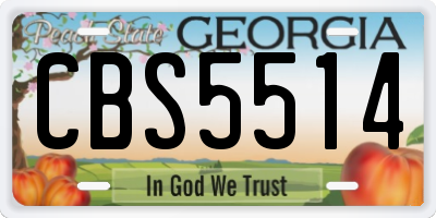 GA license plate CBS5514
