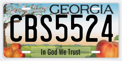 GA license plate CBS5524