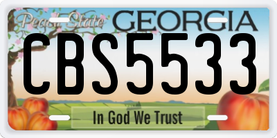 GA license plate CBS5533
