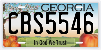 GA license plate CBS5546