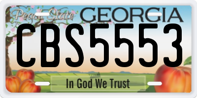 GA license plate CBS5553