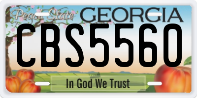 GA license plate CBS5560