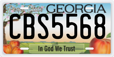GA license plate CBS5568