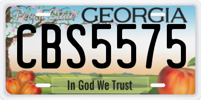 GA license plate CBS5575