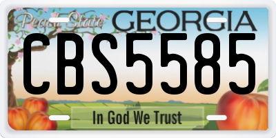 GA license plate CBS5585