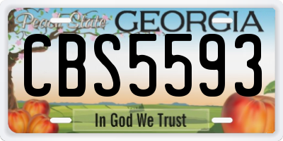 GA license plate CBS5593