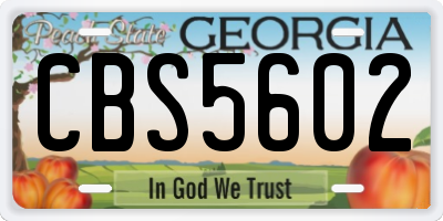 GA license plate CBS5602