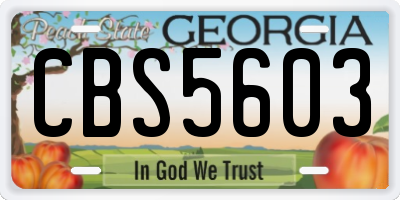 GA license plate CBS5603