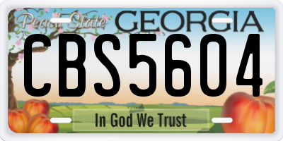 GA license plate CBS5604