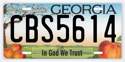 GA license plate CBS5614