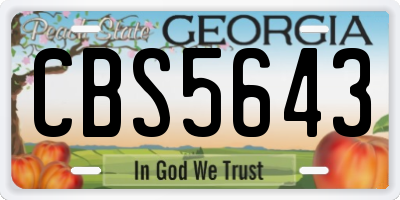 GA license plate CBS5643