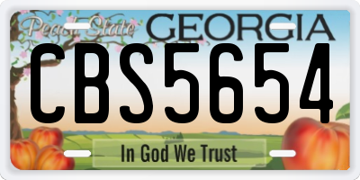 GA license plate CBS5654