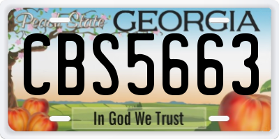 GA license plate CBS5663