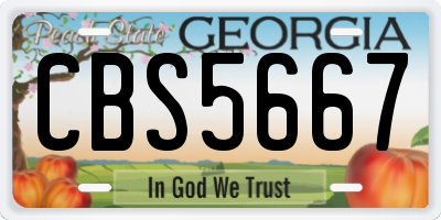 GA license plate CBS5667