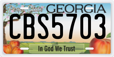 GA license plate CBS5703