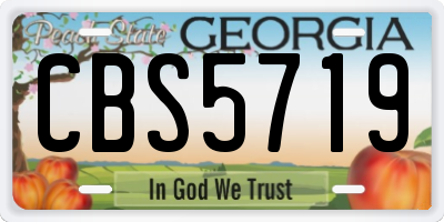 GA license plate CBS5719