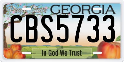GA license plate CBS5733