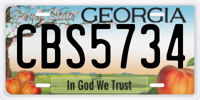 GA license plate CBS5734