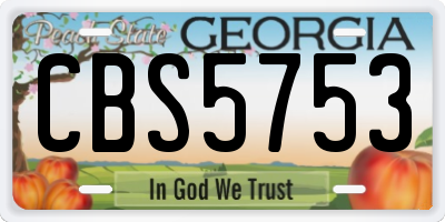 GA license plate CBS5753