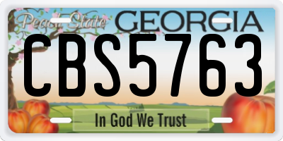 GA license plate CBS5763