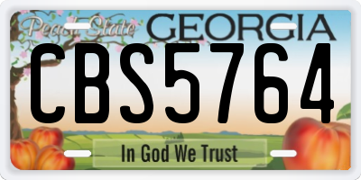 GA license plate CBS5764
