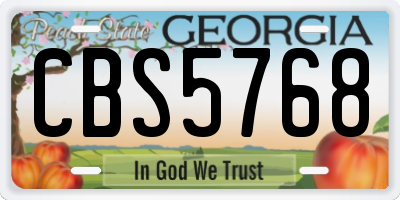 GA license plate CBS5768