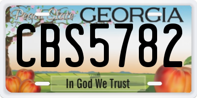 GA license plate CBS5782