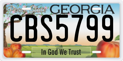GA license plate CBS5799
