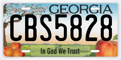 GA license plate CBS5828