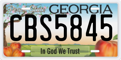 GA license plate CBS5845