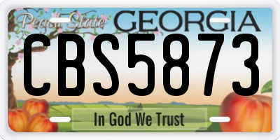GA license plate CBS5873