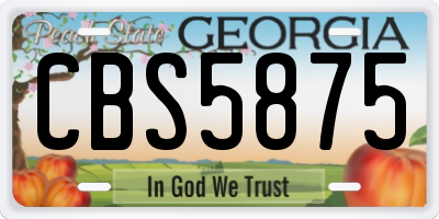 GA license plate CBS5875