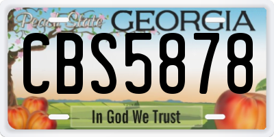 GA license plate CBS5878