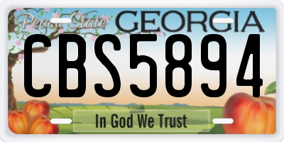 GA license plate CBS5894