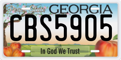 GA license plate CBS5905