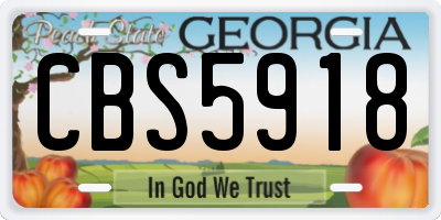 GA license plate CBS5918