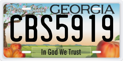 GA license plate CBS5919