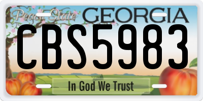 GA license plate CBS5983