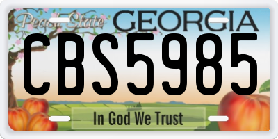 GA license plate CBS5985
