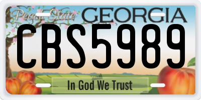 GA license plate CBS5989