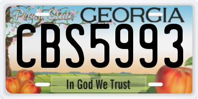 GA license plate CBS5993