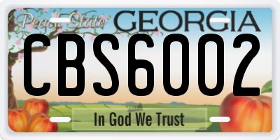GA license plate CBS6002