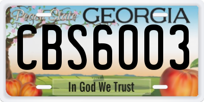 GA license plate CBS6003