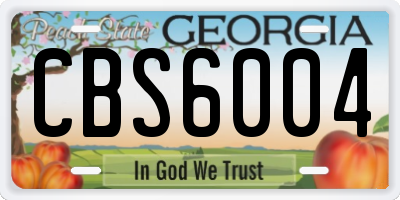 GA license plate CBS6004